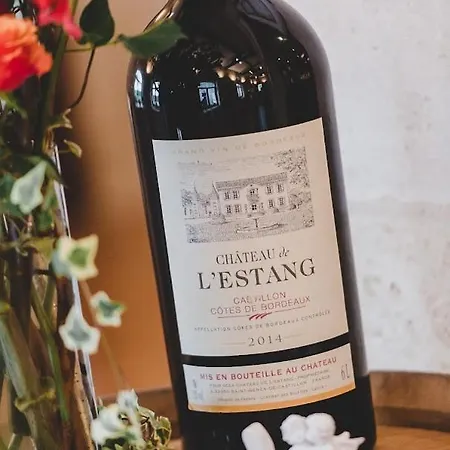 Superbe Chateau Et Son De Chateau De L'estang A Emilion Holiday home