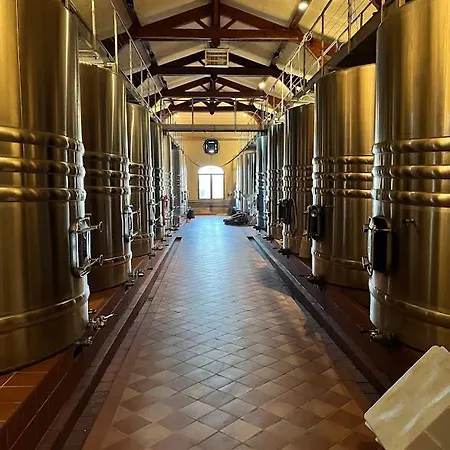 Superbe Chateau Et Son De Chateau De L'estang A Emilion Holiday home Saint-Genes-de-Castillon