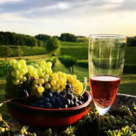 Superbe Chateau Et Son De Chateau De L'estang A Emilion Holiday home *