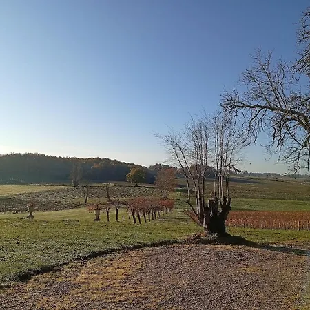 Holiday home Superbe Chateau Et Son De Chateau De L'estang A Emilion Saint-Genes-de-Castillon