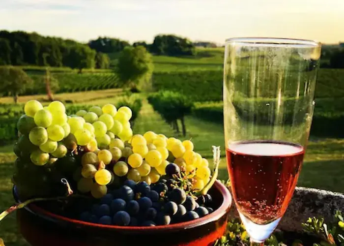 Superbe Chateau Et Son De Chateau De L'estang A Emilion Σπίτι διακοπών *